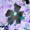 create_her